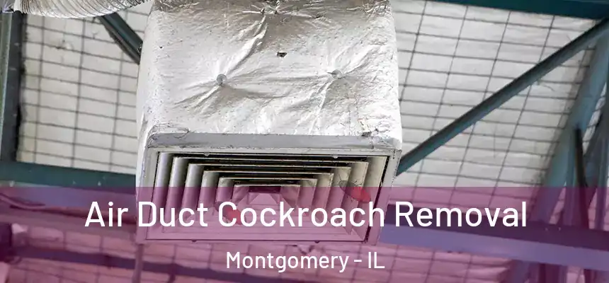  Air Duct Cockroach Removal Montgomery - IL