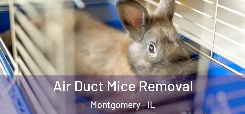  Air Duct Mice Removal Montgomery - IL