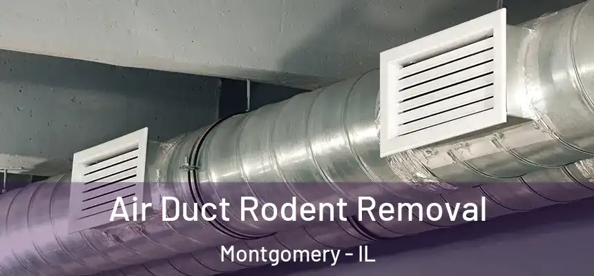  Air Duct Rodent Removal Montgomery - IL