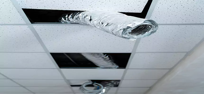 Affordable HVAC Sanitizing After Pest Removal in Montgomery