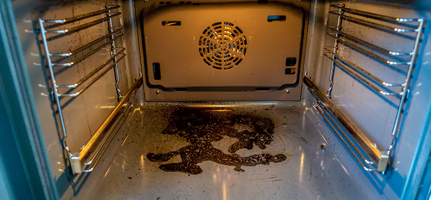 Our Dryer Vent Mold Cleaning Services in Montgomery, IL