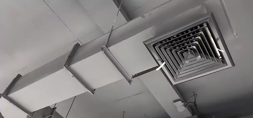 Our Pest Removal From Ducts Services in Montgomery, IL