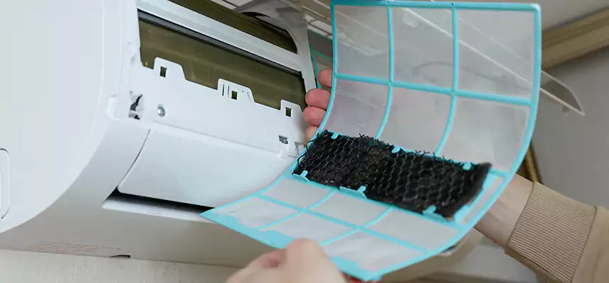 Gentle Ductwork Odor-Control Pet Dander Duct Cleaning in Montgomery, IL