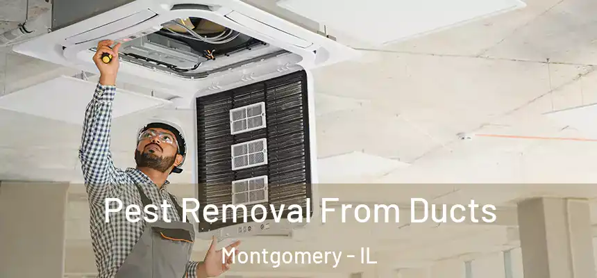  Pest Removal From Ducts Montgomery - IL