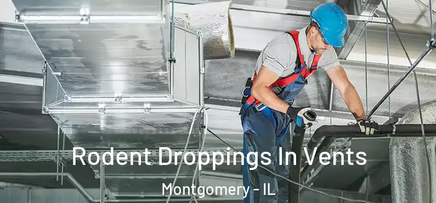  Rodent Droppings In Vents Montgomery - IL