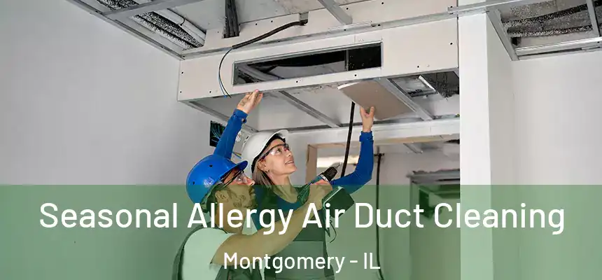  Seasonal Allergy Air Duct Cleaning Montgomery - IL