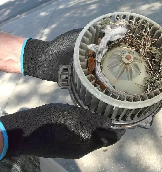 About Air Duct Rat Removal in Montgomery, IL