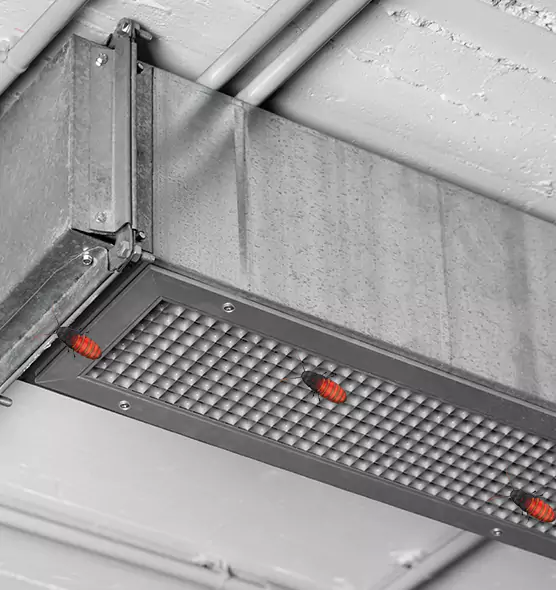 Affordable Insect Removal from Air Ducts in Montgomery, IL