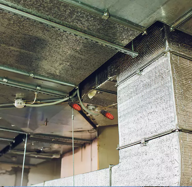 Why Homeowners & Businesses Trust Us Montgomery, IL?